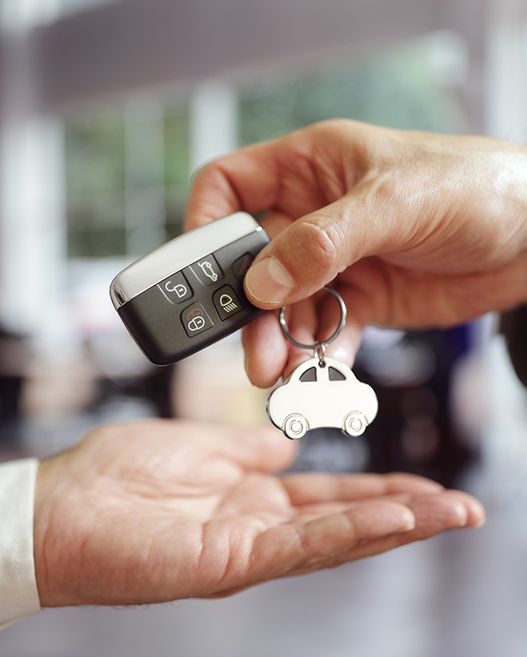 Registro Vehicular